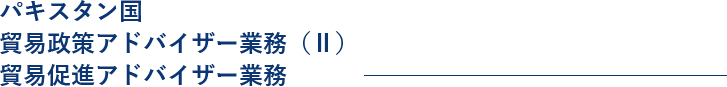 パキスタン国 貿易政策アドバイザー業務（Ⅱ） 貿易促進アドバイザー業務 
