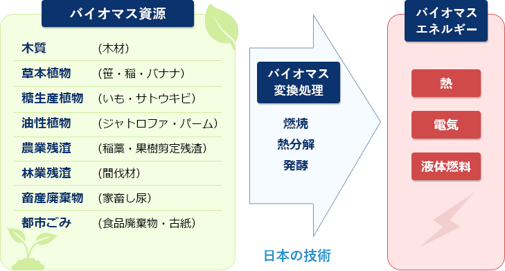 新エネルギー開発における当社の取り組み